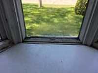bay-window (5)
